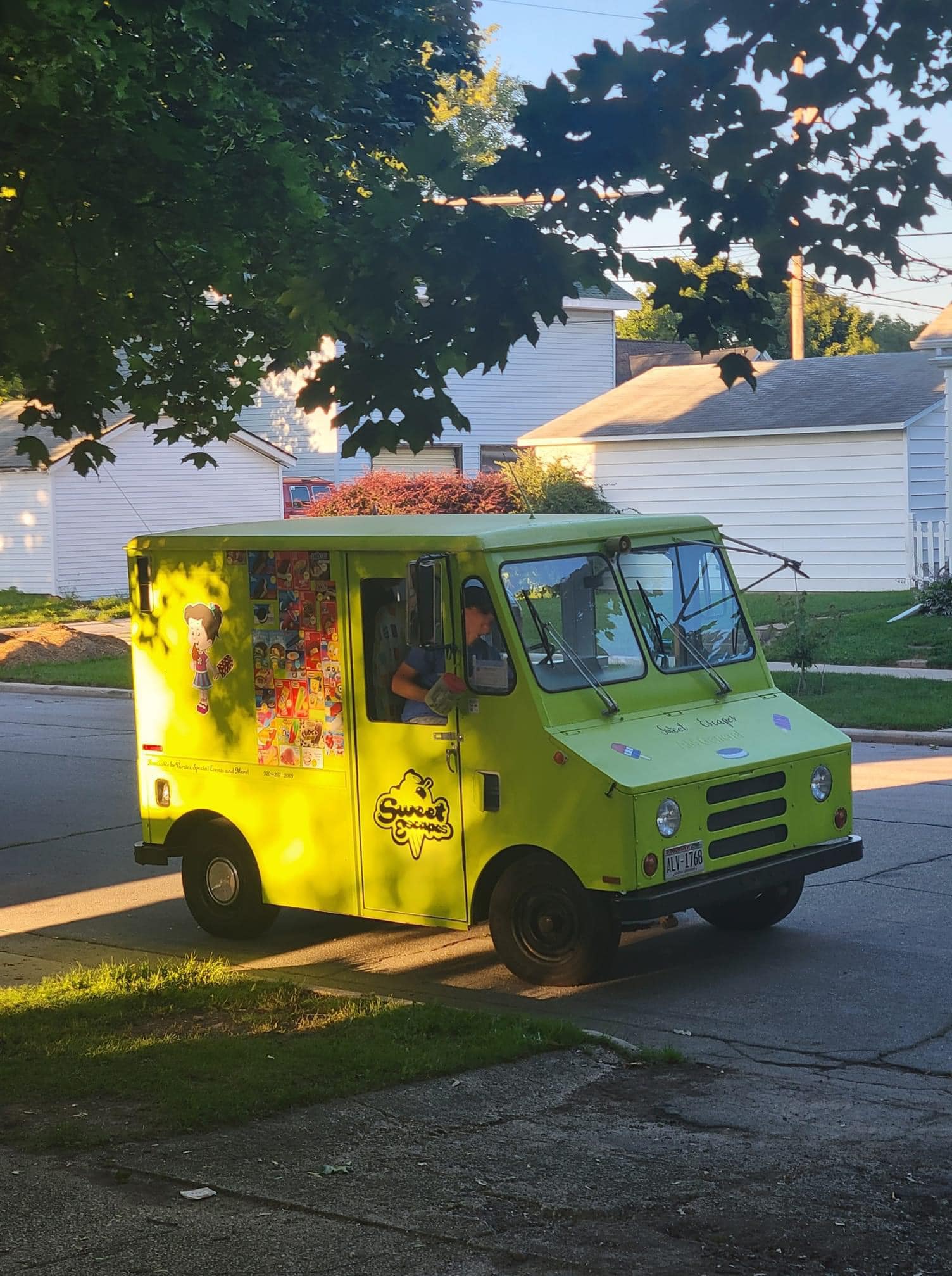 Sweet Escapes in the shade